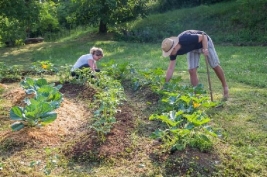 In-ground gardening with wide rows between plants B EFORE WE CAN EXPLORE what - photo 7