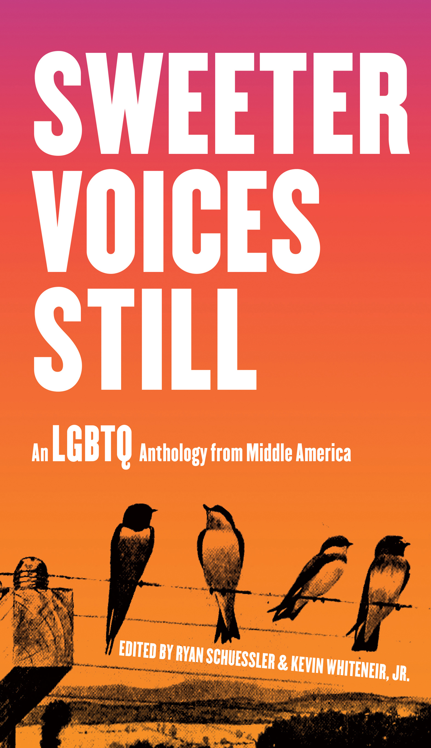 Sweeter Voices Still An LGBTQ Anthology from Middle America - image 1