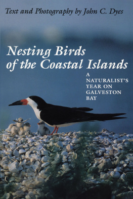 John Dyes - Nesting Birds of the Coastal Islands: A Naturalists Year on Galveston Bay