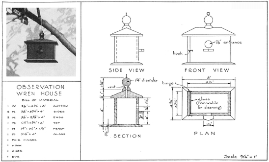 PLATE X OBSERVATION WREN HOUSE WREN HOUSE A wren house should have the - photo 11