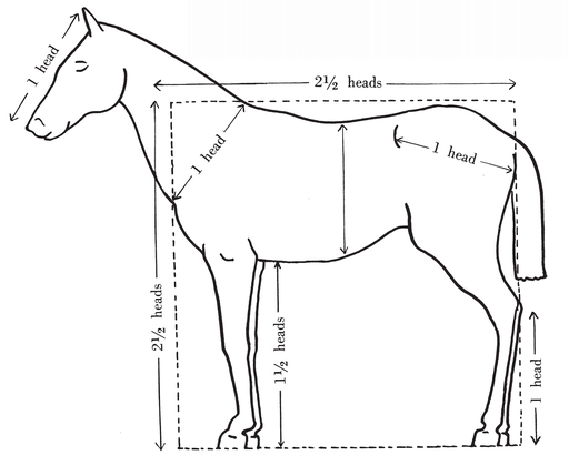 The Head In order to understand the surface form it is necessary to kn - photo 4