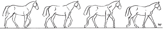 You Can Draw Horses - photo 25