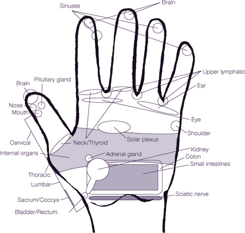 1 Reflexology Card Refer to the diagram on the front of this card to view the - photo 2