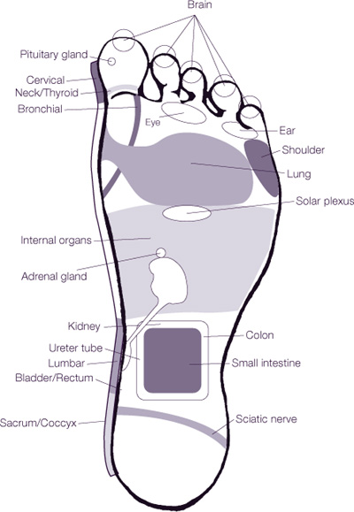 1 Reflexology Card Refer to the diagram on the front of this card to view the - photo 3