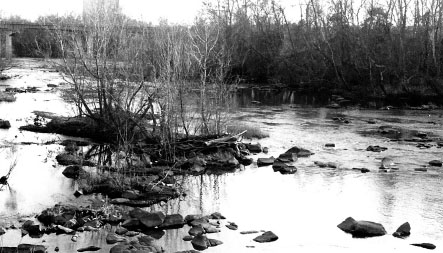 A scenic view of the Congaree River In Lexington County the path enters the - photo 6