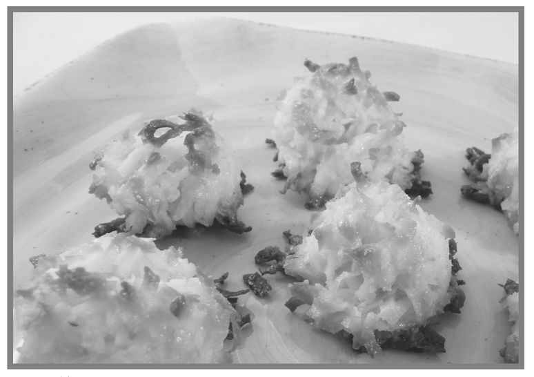 Coconut Macaroons page 26 Acknowledgments To those that guide my research - photo 3