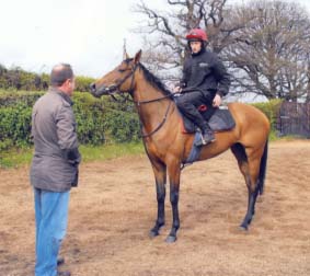 Recurring Dream training at Sandhill Racing Stables with Philip Hobbs Ianto - photo 17