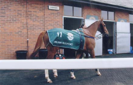 Dream at the Aintree Grand National in 2010 It wasnt his race and he pulled up - photo 22