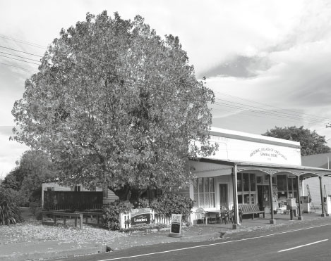 Rural towns are central to the resilience of New Zealands agricultural - photo 4