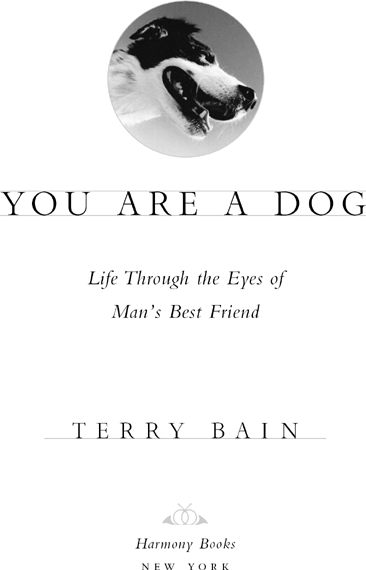 For more of life through the eyes of mans best friend please visit the You Are - photo 2