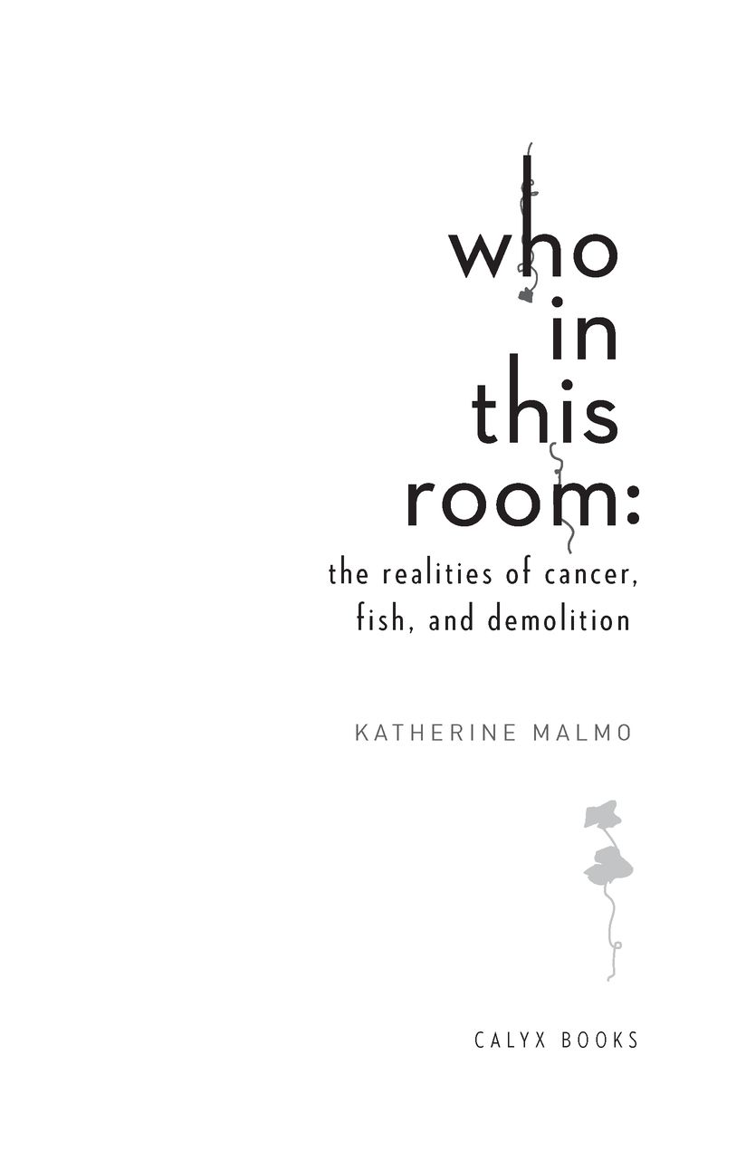 Who in This Room The Realities of Cancer Fish and Demolition - image 2