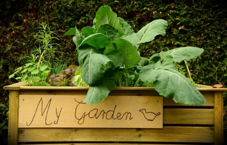 Raised bed gardening is likewise called square foot gardening The first idea - photo 14