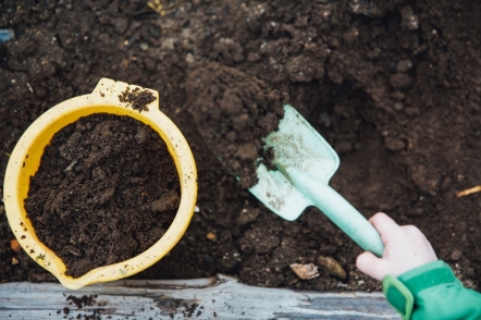 Raised Bed Gardening for Beginner The Ultimate Beginners Guide to Quickly Build Your Raised Garden Bed How to Grow and Sustain Vegetables Fruits and Herbs in Your Own Organic Vegetable Garden - photo 8