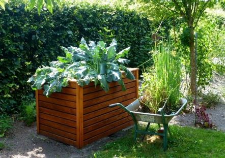 There are numerous incredible advantages to developing plants in raised beds - photo 15