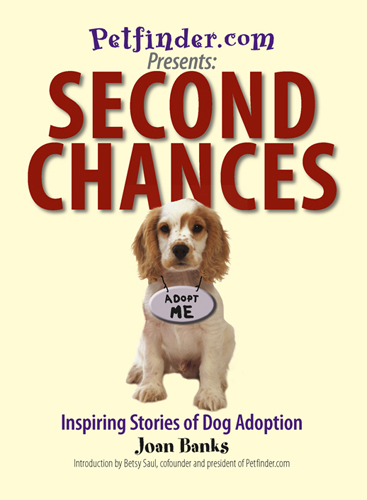 Second Chances Inspiring Stories Of Dog Adoption - image 1