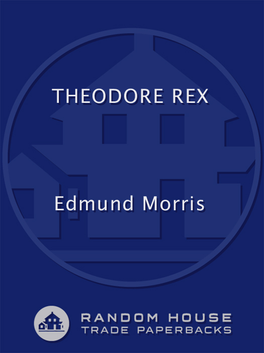 PRAISE FOR T HEODORE R EX Take a deep breath and dive into Theodore Rex - photo 1