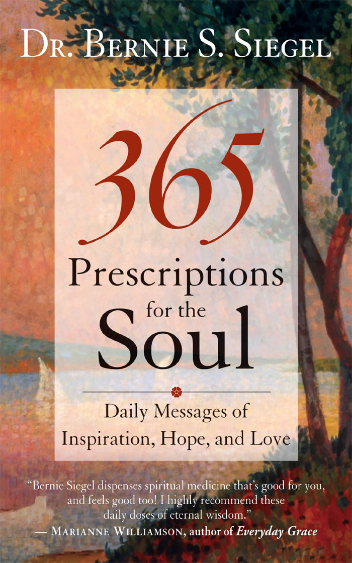 Prescriptions for the Soul Prescriptions for the Soul Daily Messages - photo 1