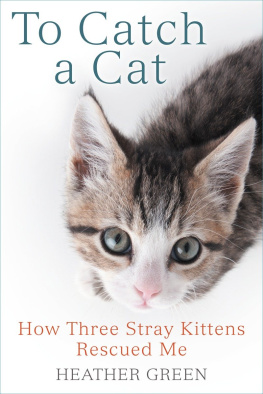 Heather Green - To Catch a Cat: How Three Stray Kittens Rescued Me