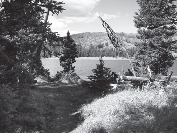 Grebe Lake Yellowstone National Park where Hemingway saw Jack Hadley and - photo 3