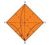 Mountain-fold the C and D corners bringing C A and D down to B Your - photo 5