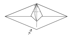 Fold the bottom corner of the kite shape to the top corner Layers of paper - photo 16