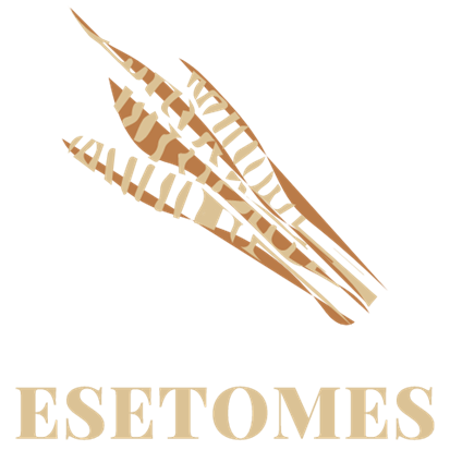 ESETOMES is the brand name for books written by Eric OtisSimmons It stands for - photo 1