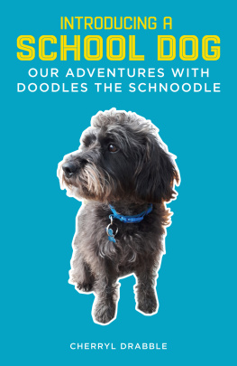 Cherryl Drabble Introducing a School Dog: Our Adventures with Doodles the Schnoodle