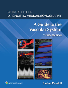 Ann Marie Kupinski Workbook for Diagnostic Medical Sonography: The Vascular Systems