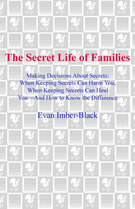 Praise for The Secret Life of Families Evan Imber-Black unravels the - photo 1