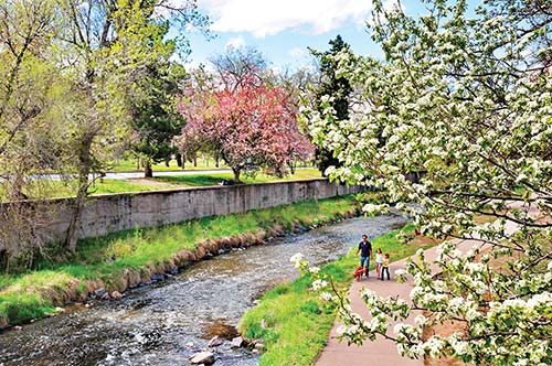 cherry trees along Cherry Creek Colorados Front Range cities straddle the land - photo 7