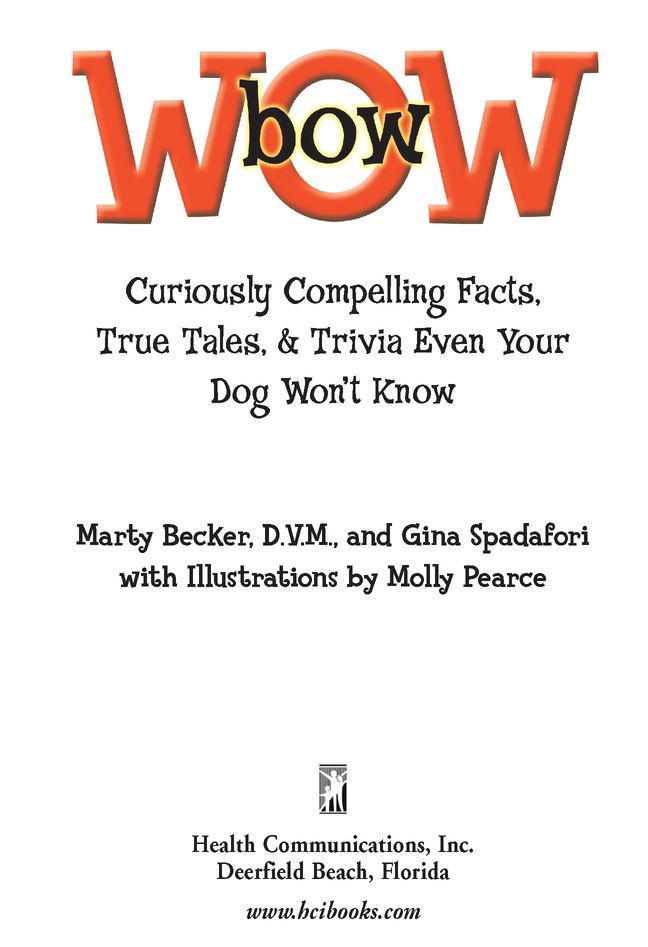 Bowwow Curiously Compelling Facts True Tales and Trivia Even Your Dog Wont Know - image 2