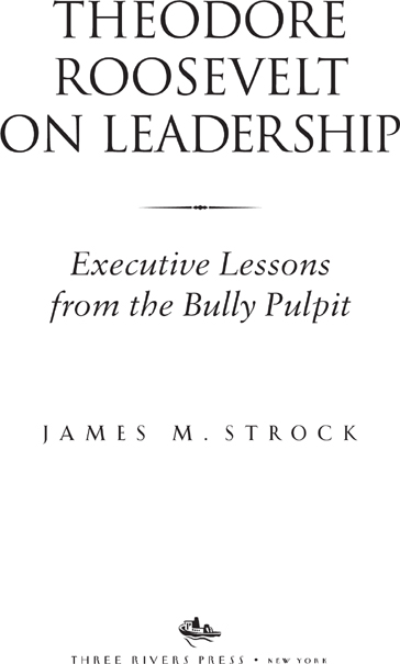 Theodore Roosevelt on Leadership Executive Lessons from the Bully Pulpit - image 2