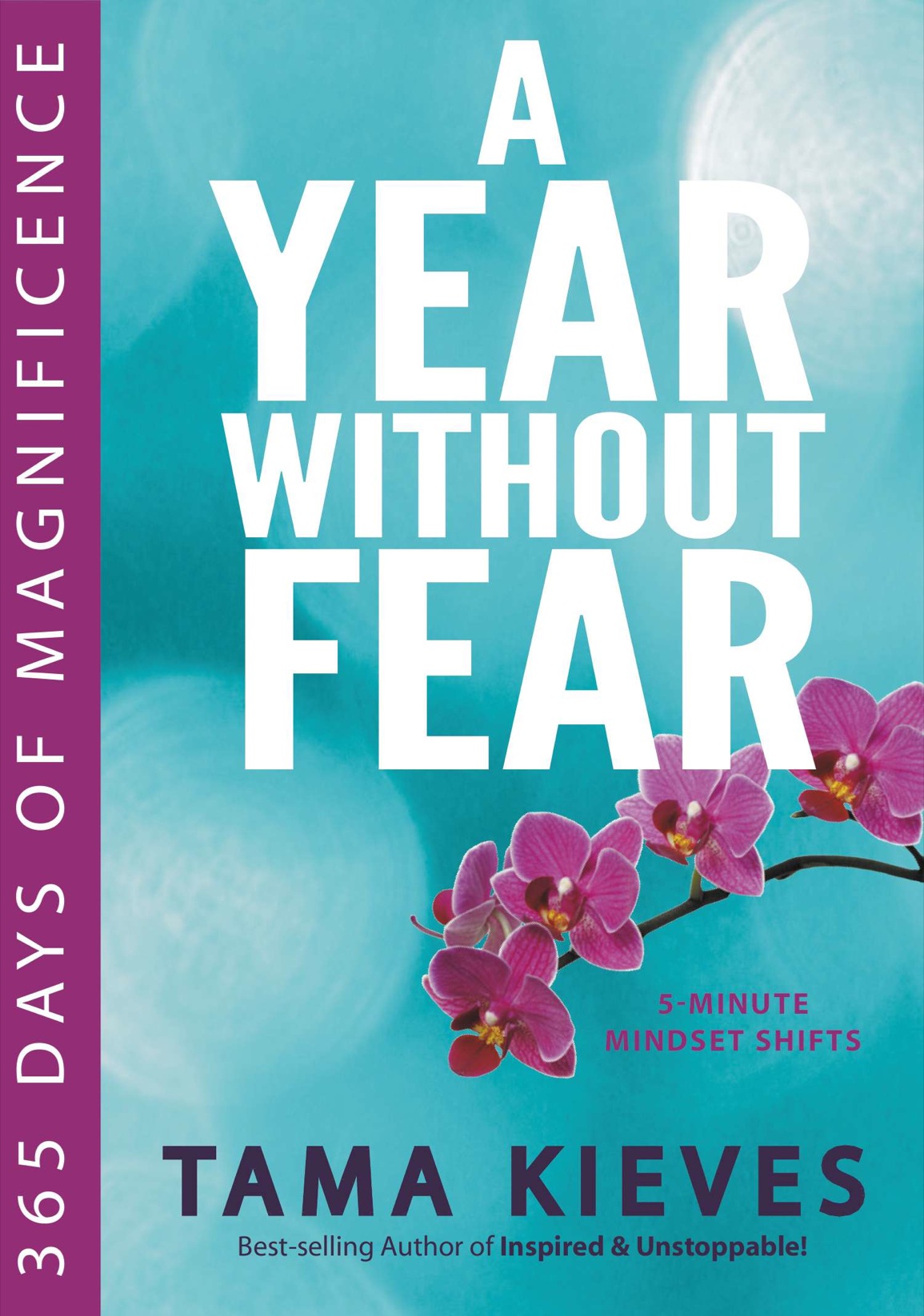 A Year Without Fear 365 Days of Magnificence - image 1