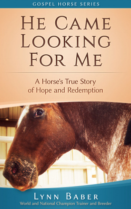 Lynn Baber He Came Looking For Me: A True Story Of Hope And Redemption