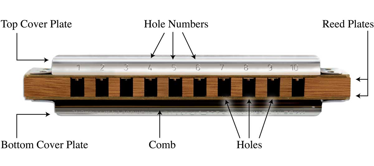 Harmonica Lessons for Kids How to Play Harmonica for Kids - image 14