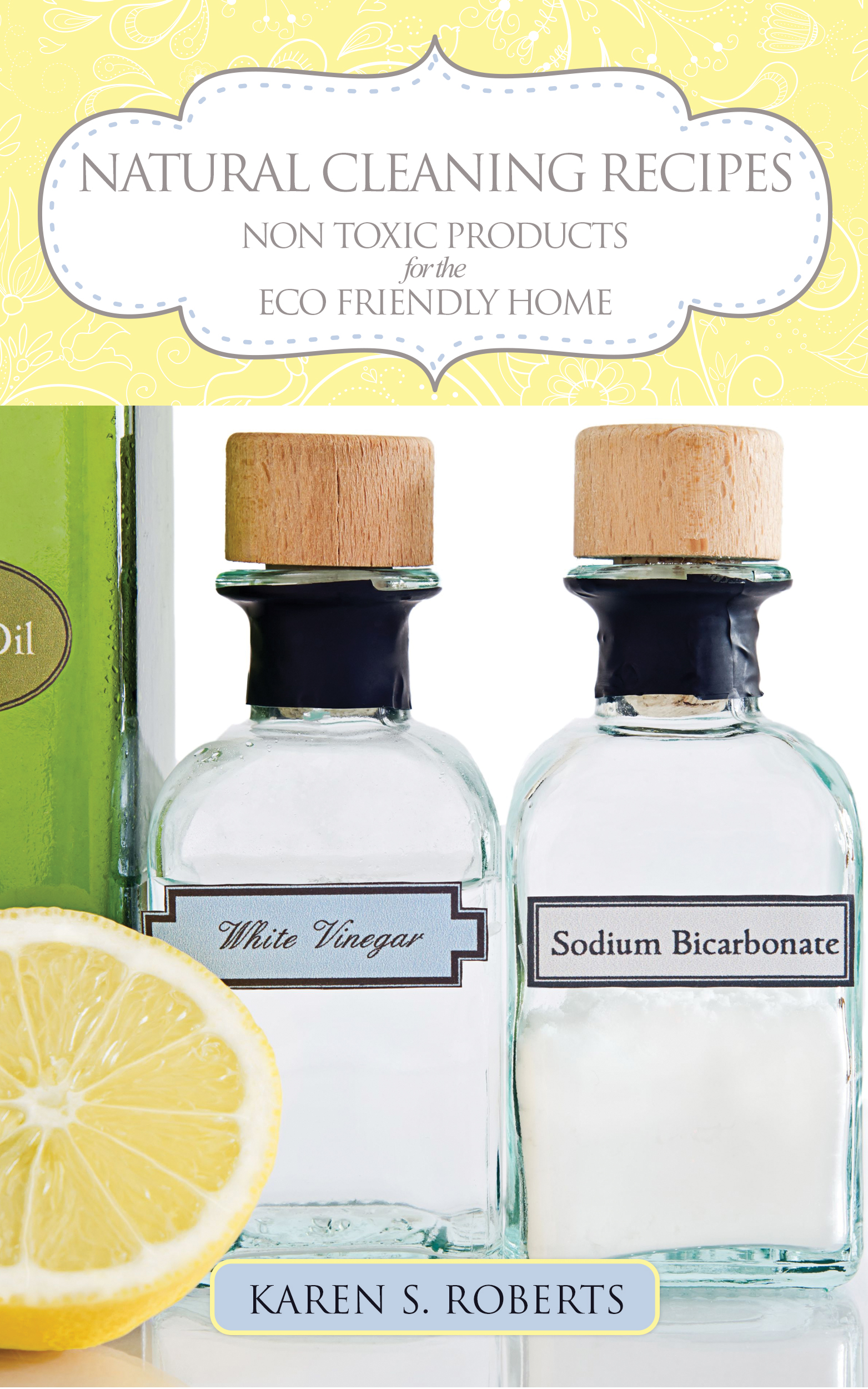 Natural Cleaning Recipes Non Toxic Products for the Eco Friendly Home By - photo 1