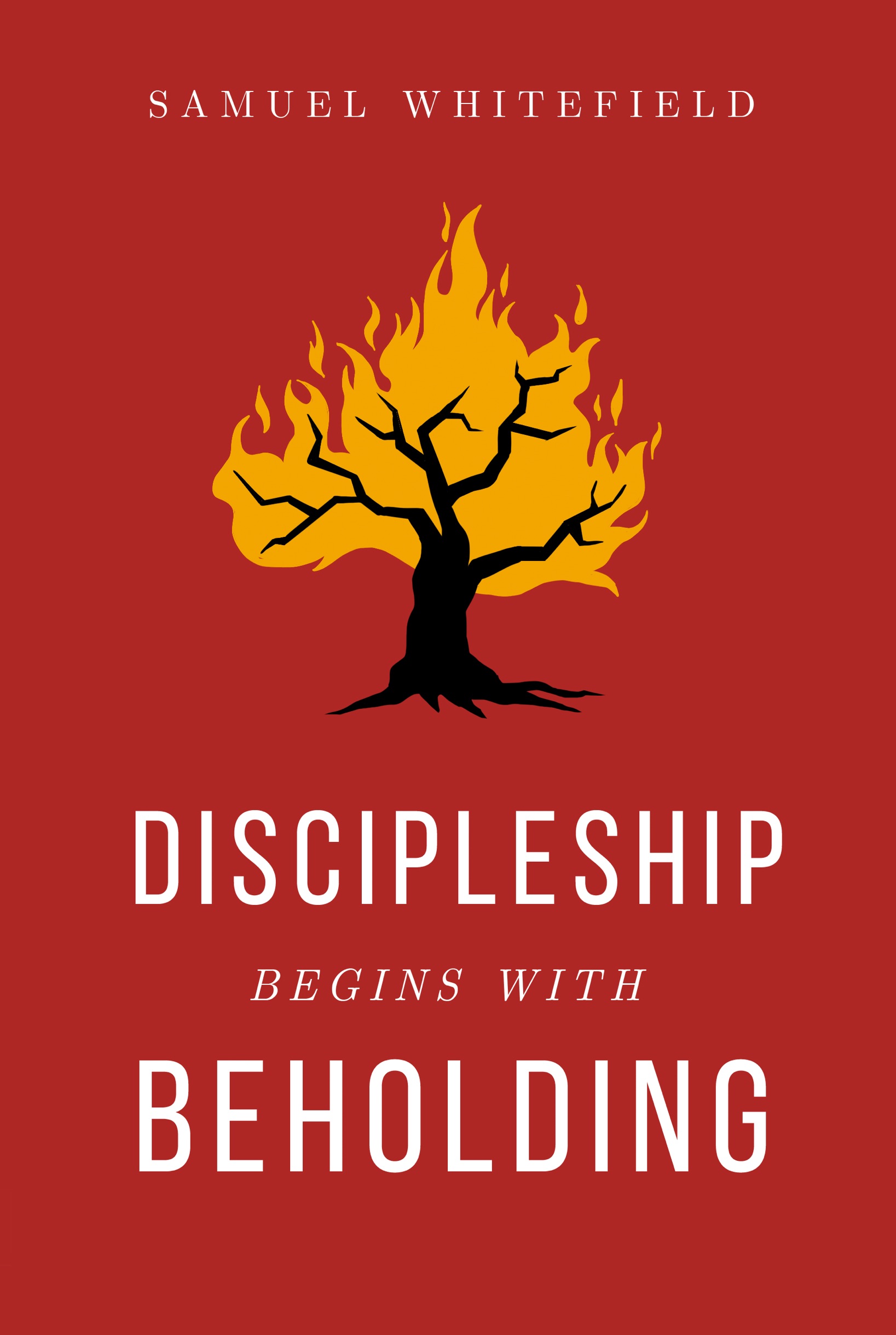 It Begins with Beholding Discipleship Begins with Beholding Pauls second - photo 1