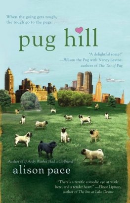 Alison Pace - Pug Hill