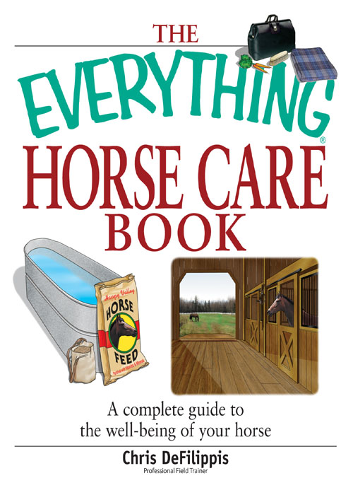 THE EVERYTHING HORSE CARE BOOK A complete guide to the well-being of your - photo 1