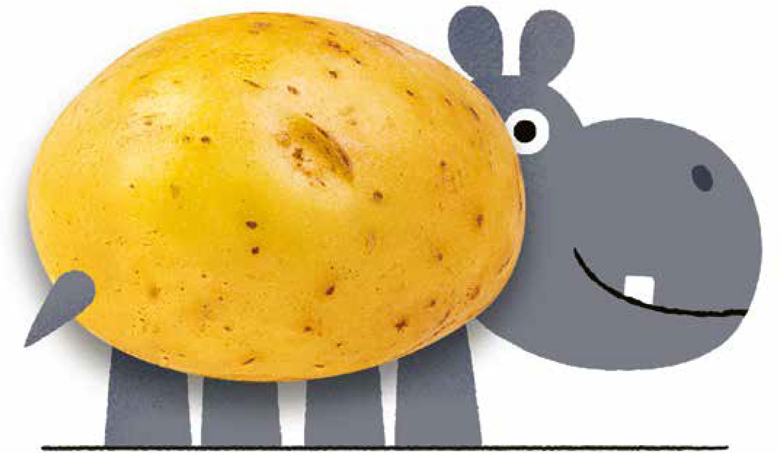 HIPPOTATO Keep your eyes peeled for this hot-tempered spud I IGUAVA - photo 12