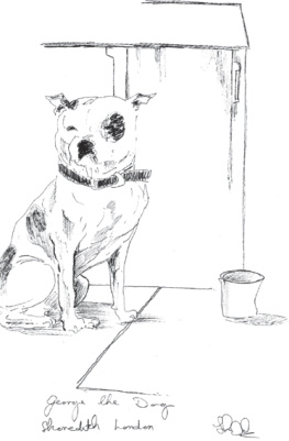 John Dolan - George the Dog, John the Artist: A Rescue Story