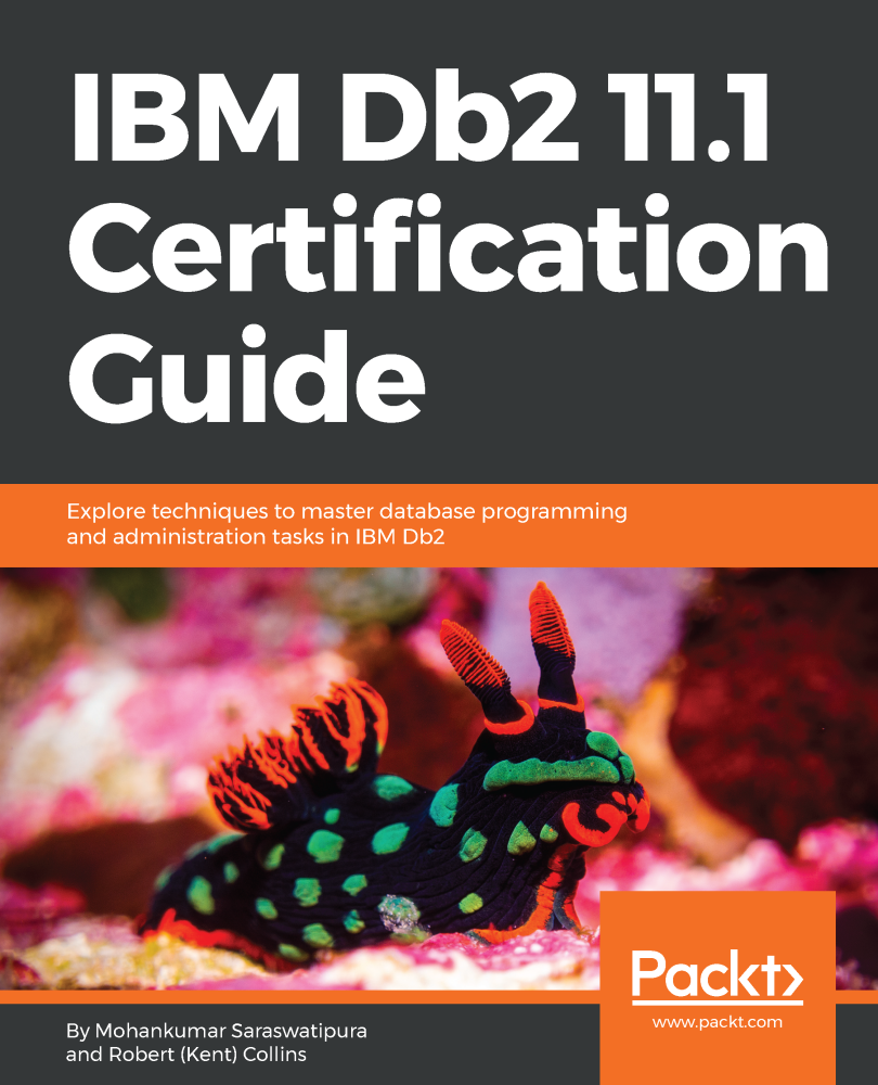 IBM Db2 111 Certification Guide Explore techniques to master database - photo 1