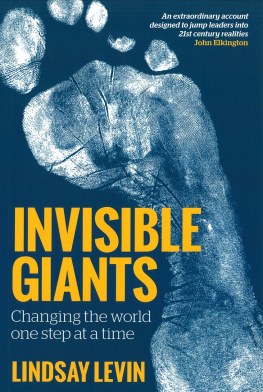 Lindsay Levin - Invisible Giants: Changing the World One Step at a Time