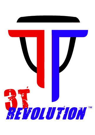 3T Revolution Disc GolfUnleashed byRAMsportUSA Copyright 2014 Smashword - photo 1