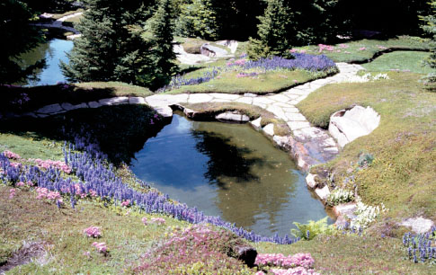 Few things in life can match the beauty of a well-constructed pond that - photo 3