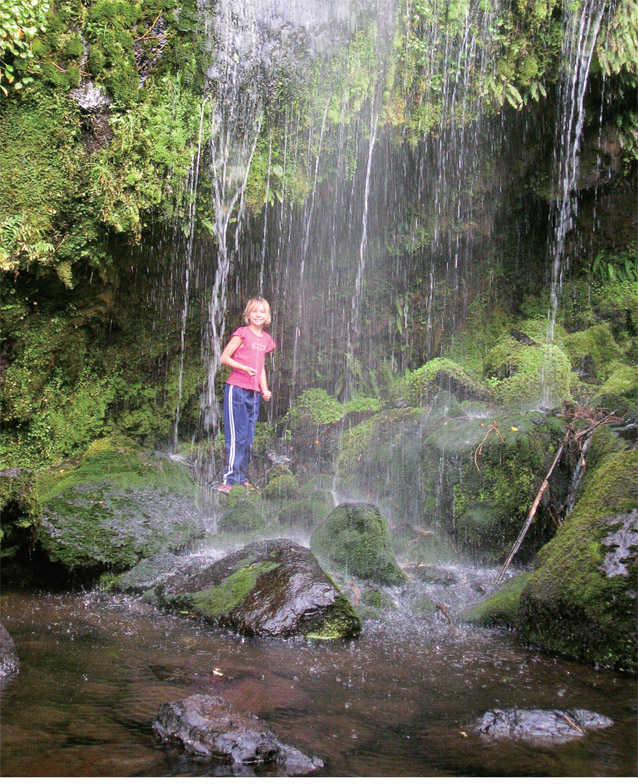 Allow time to explore and play during your hike so children can get the most - photo 2