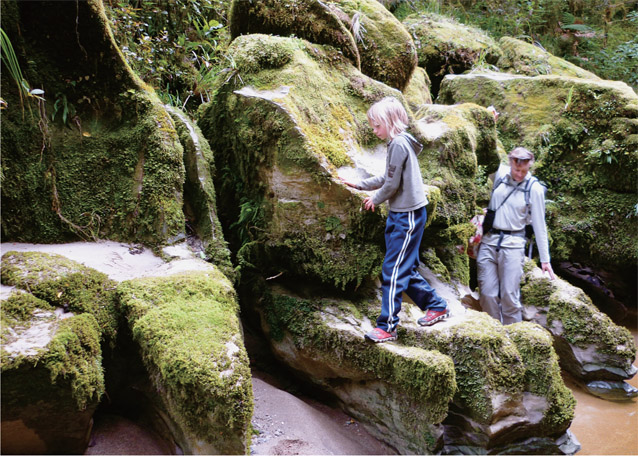 Scrambling hikes where the consequences of a fall are minimal are great for - photo 3