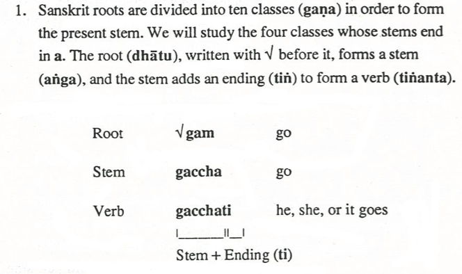 Week 1 Vocabulary Week 1 Makkomas-stras 11 V - photo 15