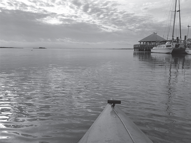 Looking after shorebird nests on an island in Apalachicola Bay Photo by the - photo 2