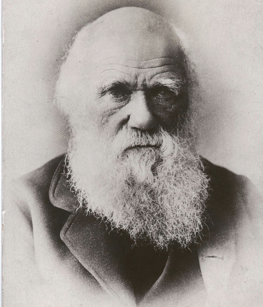 Charles Darwin publicly introduced his theory of evolution in 1858 The theory - photo 5